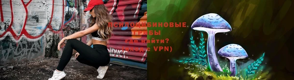 мяу мяу кристалл Богданович