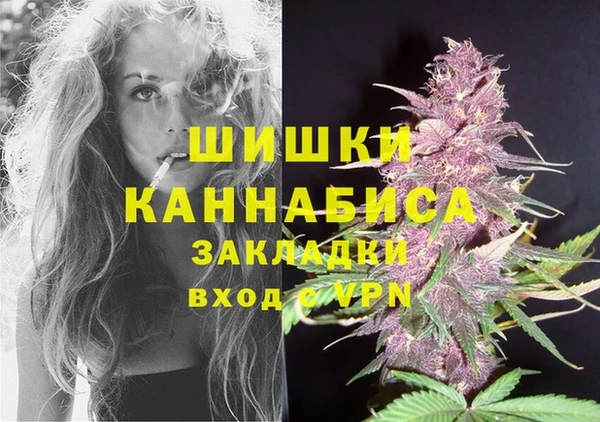 трава Богородицк
