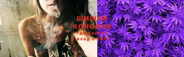 мяу мяу кристалл Богданович