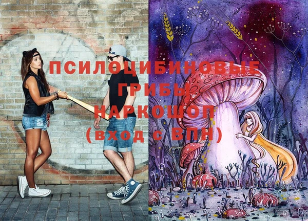 мяу мяу кристалл Богданович